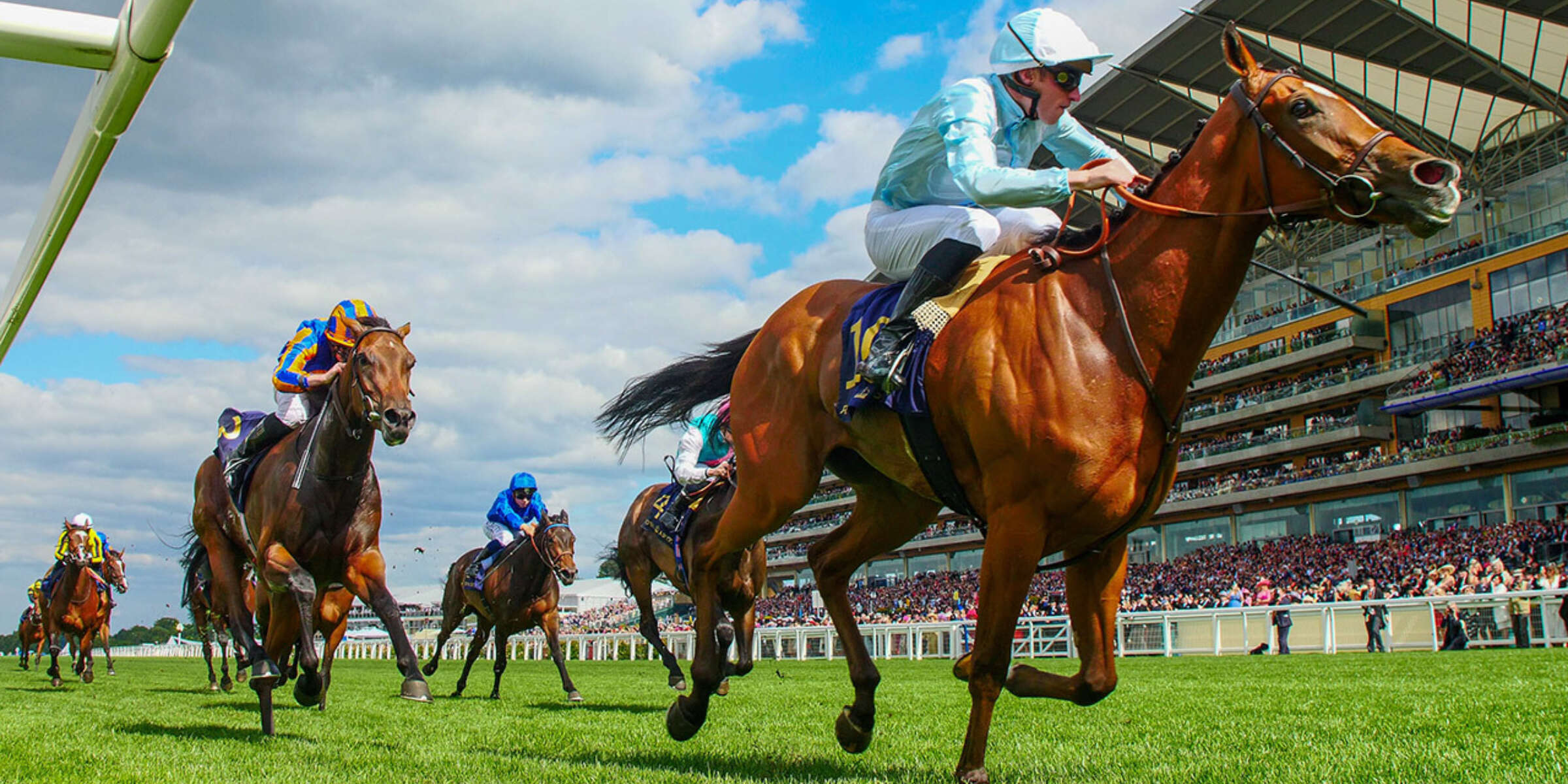 WLA Hong Kong Jockey Club Global is the future of horse racing pools